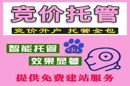 SEM优化师实战案例解析：提升广告效果